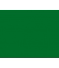 VERDE BRILLANTE - conf. 100 g