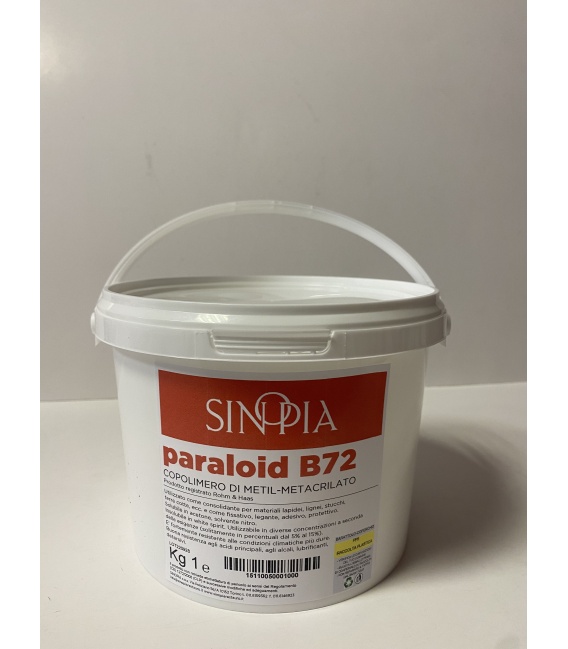PARALOID B72 - conf. 1 Kg
