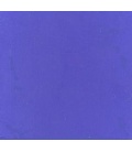 BLU OLTREMARE PURO EXTRA - conf. 500 g