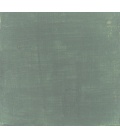 TERRA VERDE BRENTONICO - conf. 750 g