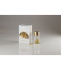 SALIERA POLVERE ORO ALIMENTARE 23 KT 125 mg