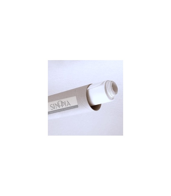 BEVA FILM ROTOLO SPESSORE 63,5 micron - h cm 69