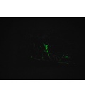 PIGMENTO FOSFORESCENTE VERDE - 100 g
