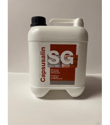 CAPSUSALIN ANTISALI NANOMETRICO - conf. 5 litri