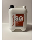 CAPSUSALIN ANTISALI NANOMETRICO - conf. 5 litri