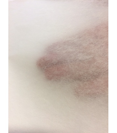 CARTA GIAPPONESE TENGUJO - 18 g/mq 49x69 cm