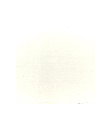 BIANCO uso SAN GIOVANNI - conf. 750 g